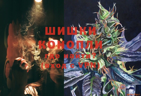крисы Бронницы