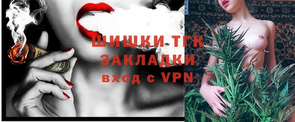 прущие крисы Бородино