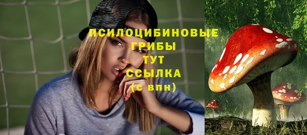 прущие крисы Бородино
