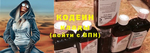 прущие крисы Бородино