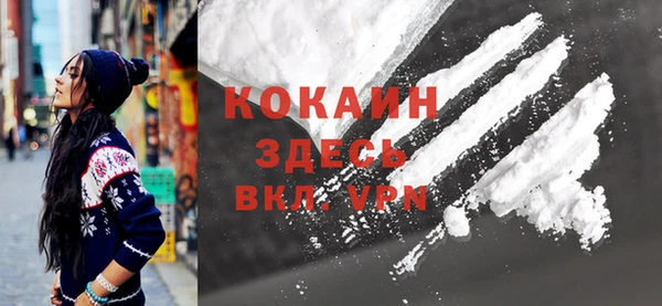крисы Бронницы