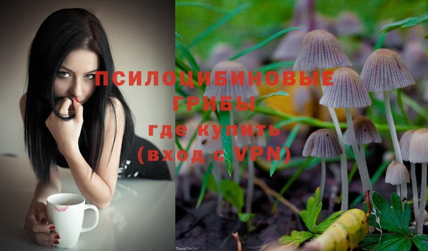2c-b Бугульма