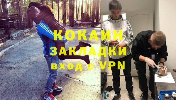 крисы Бронницы